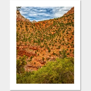 Watchman Trail View, Zion National Park Posters and Art